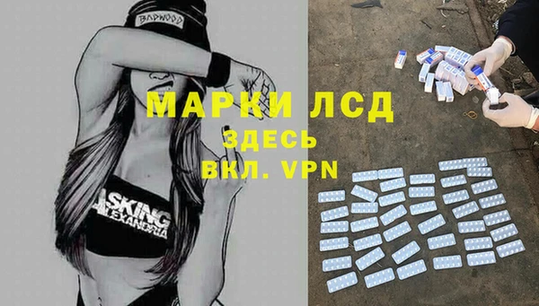 прущая мука Вяземский