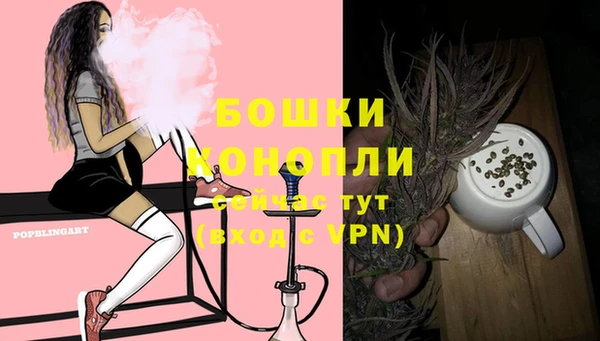 PSILOCYBIN Горнозаводск